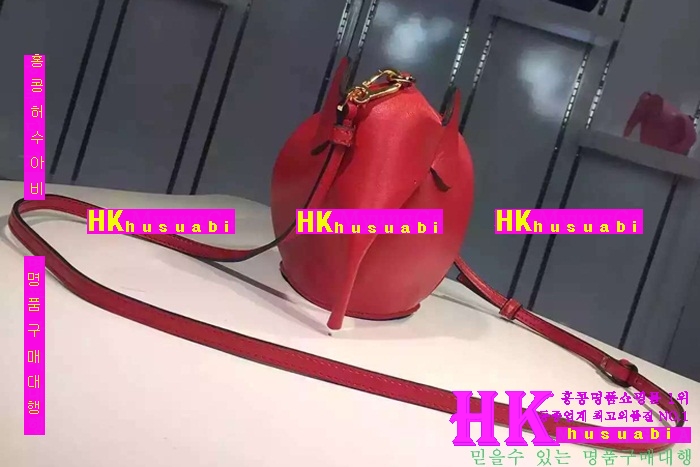 16로에베 가방 코끼리 신상 LO85474