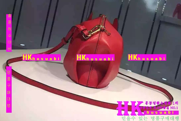 16로에베 가방 코끼리 신상 LO85474