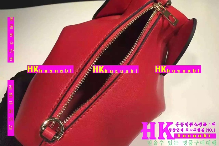 16로에베 가방 코끼리 신상 LO85474