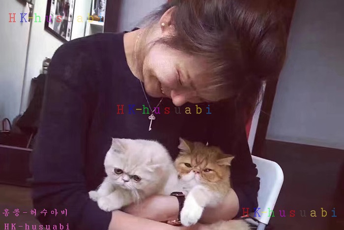 NEW 티파니앤코 목걸이 신상 T 111885