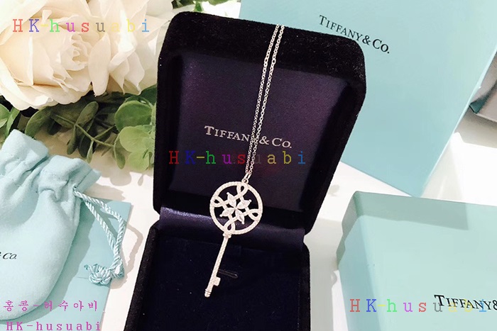 NEW 티파니앤코 목걸이 신상 T 111884