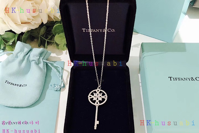 NEW 티파니앤코 목걸이 신상 T 111884