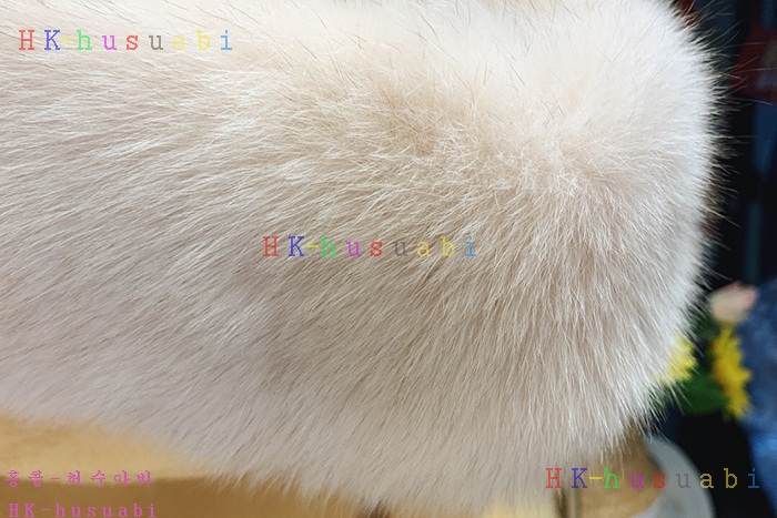 NEW 막스마라 코트 신상 MX 4572220