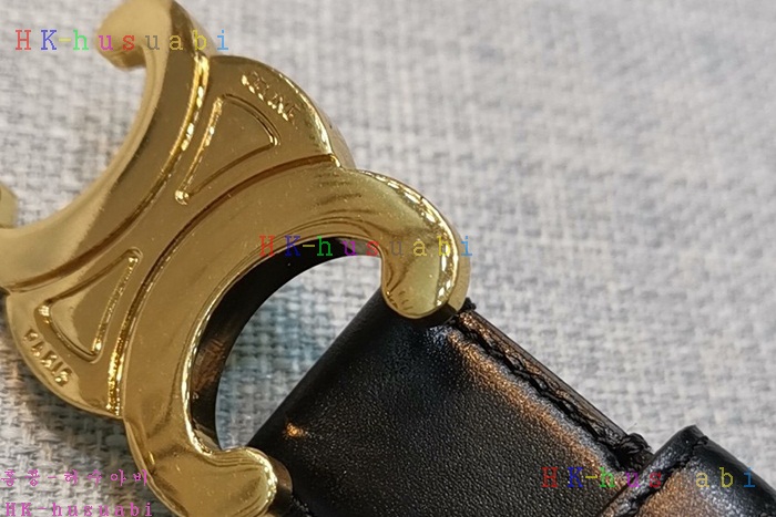 NEW 셀린느 벨트 신상 C 665822