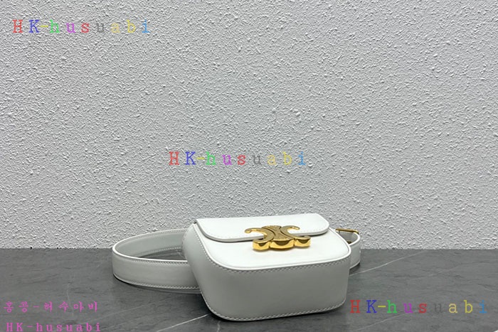 ★미러급★셀린느 트리옹프 벨트백 45BCN3AH2-4