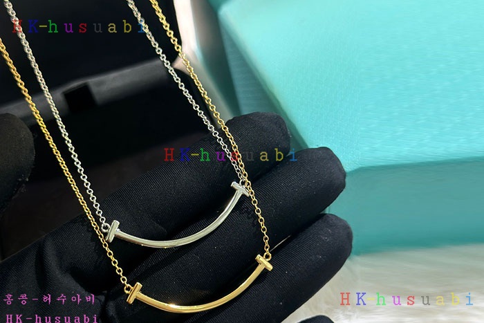 NEW 티파니앤코 목걸이 신상 T 858043