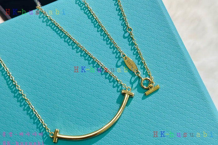 NEW 티파니앤코 목걸이 신상 T 858043