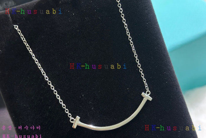 NEW 티파니앤코 목걸이 신상 T 858043