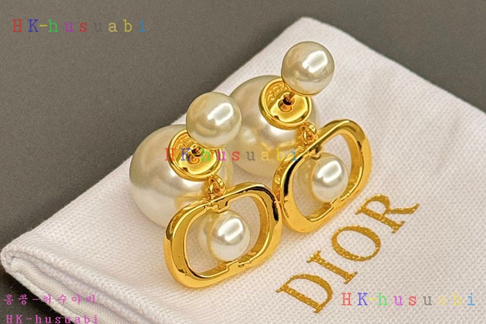 NEW 디올 귀걸이 신상 DR 6855253